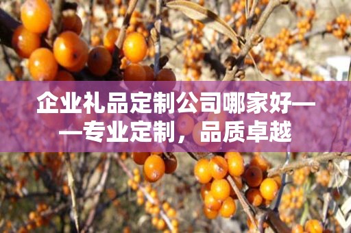 企业礼品定制公司哪家好——专业定制，品质卓越